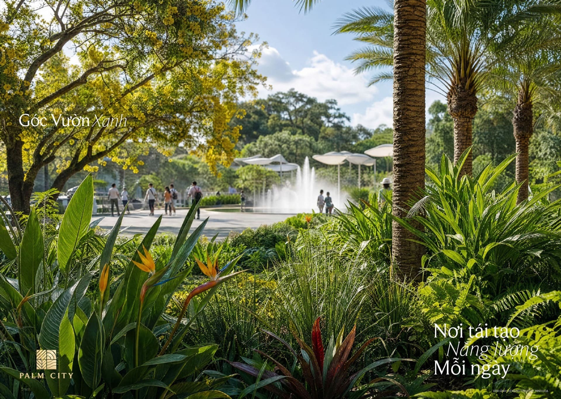 Không gian xanh Palm City