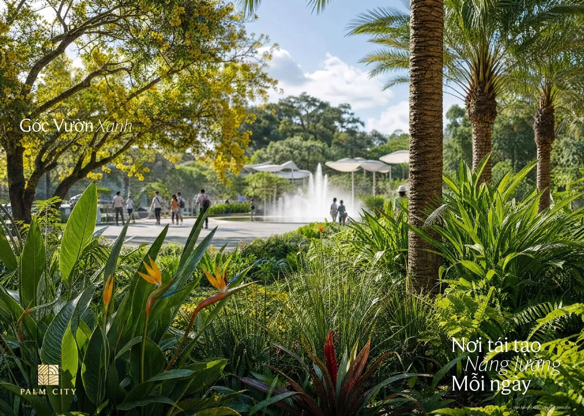 Palm City view 7
